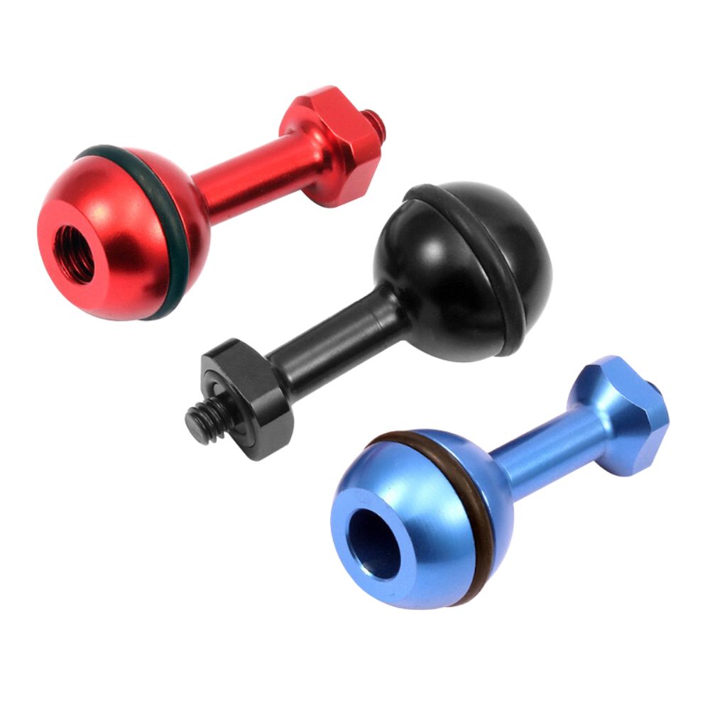 Seal Dive Lights, Ball Seal Todos