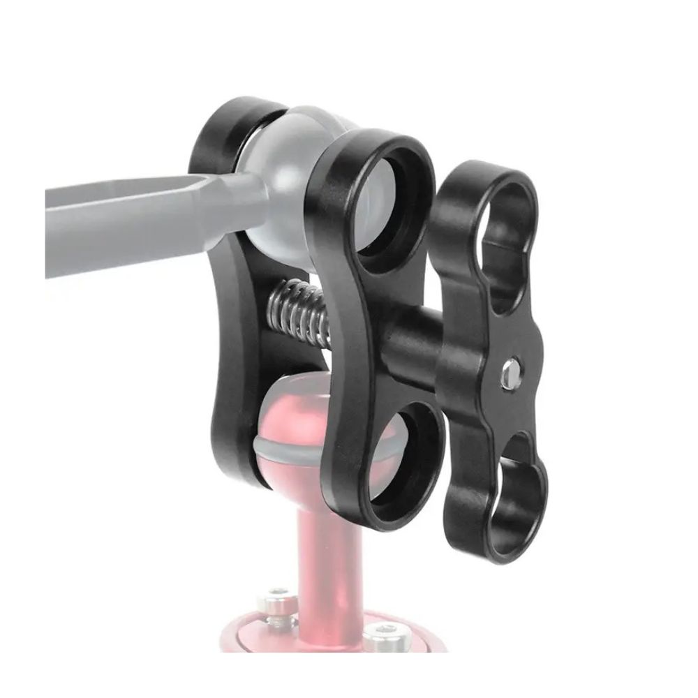 Seal Dive Lights, Borboleta Seal