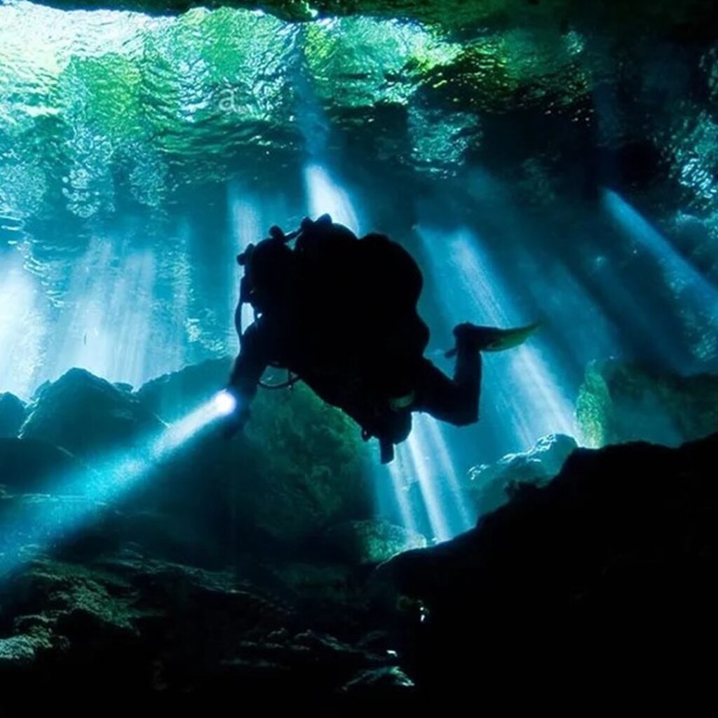 Seal Diving Lights