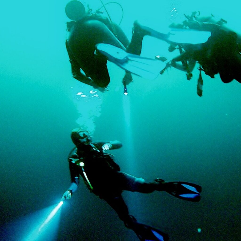 Seal Diving Lights