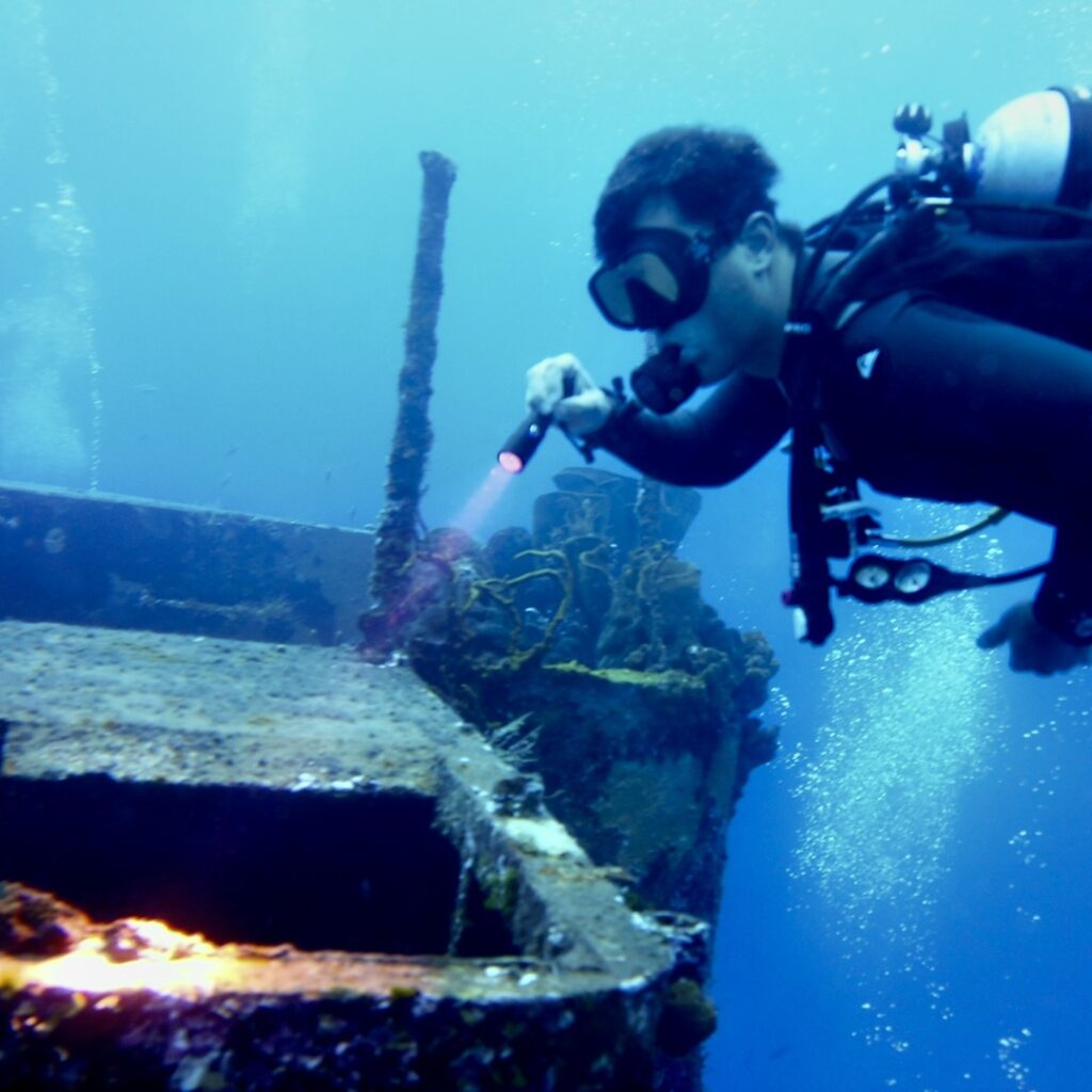 Seal Diving Lights