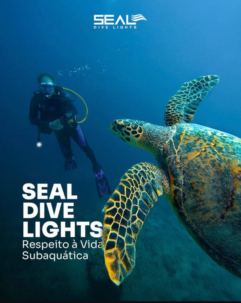 Seal Dive Lights